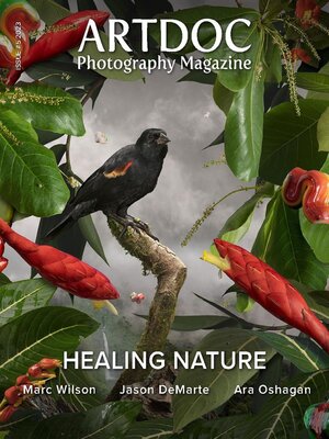 cover image of Artdoc Photography Magazine
